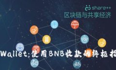 tpWallet：使用BNB收款的终极指南