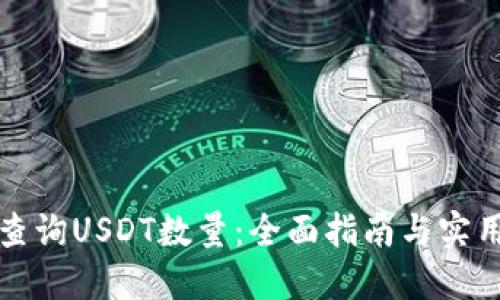 如何查询USDT数量：全面指南与实用技巧