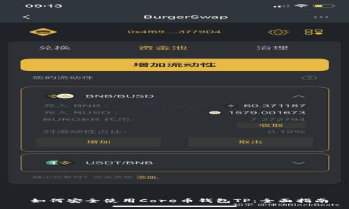  如何安全使用Core币钱包TP：全面指南